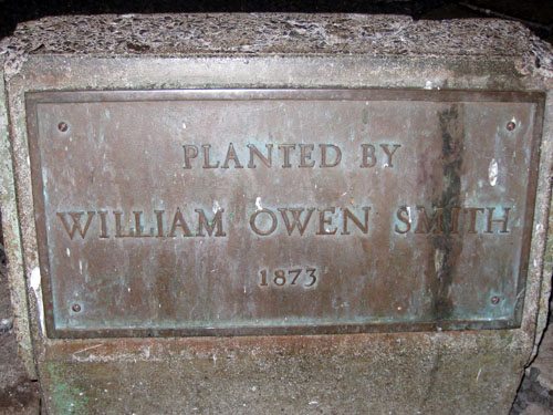 Planting of banyan tree plaque Maui