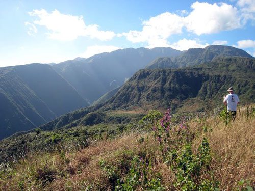 Hiking Maui Waihee Valley