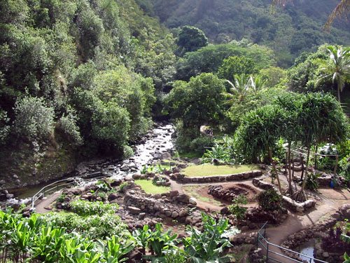 Iao garden