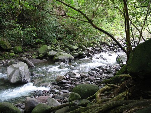 Iao Stream