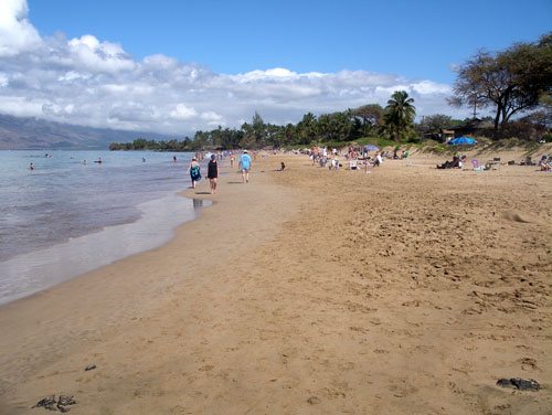 Kamaole Beaches Maui Hawaii Kam I