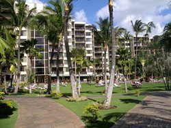 Kaanapali Shores condo west Maui