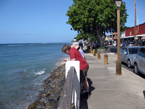Lahaina sightseeing seawall Front Street