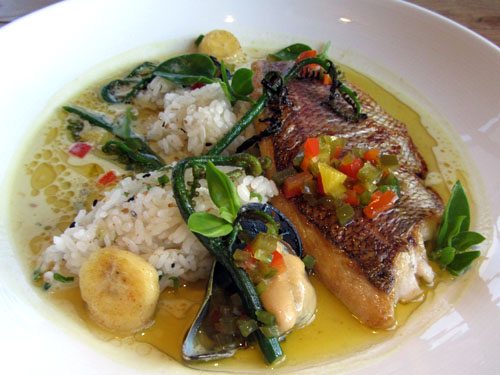 Morimoto Andaz fish dinner entree
