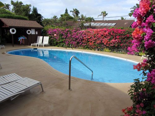 Swimming pool Napili Sunset Maui condos