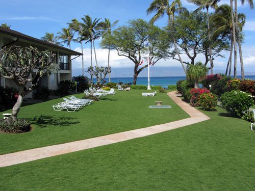 Maui condo Napili Surf grounds