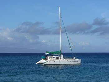 Trilogy whale watch catamaran