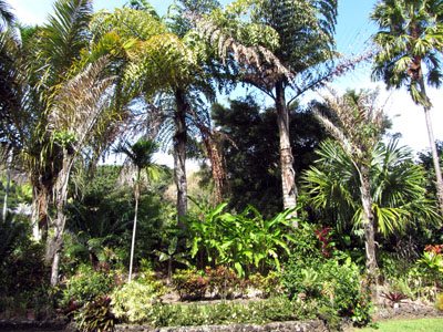 Tropical Gardens of Maui