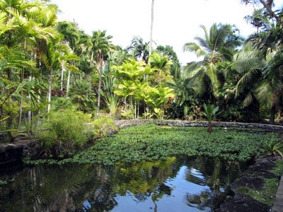 Tropical Gardens of Maui self guided tours