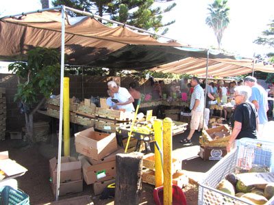 Farmers Market Maui Lahaina