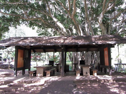 kepaniwai public Maui park and garden