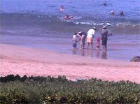 Maui Web Cams Mana Kai