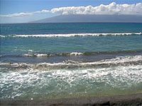 Live tsunami cam maui