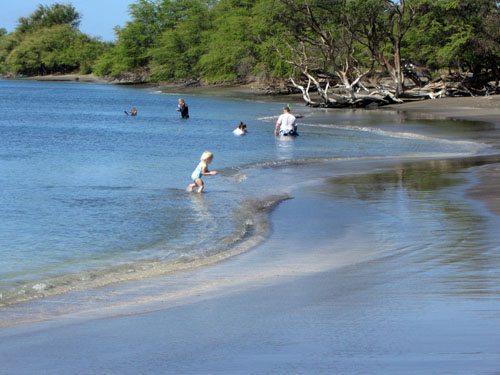 Mile Marker 14 Beach and Snorkeling Olowalu