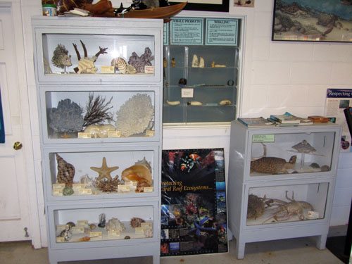 Exhibits at Marine Sanctuary