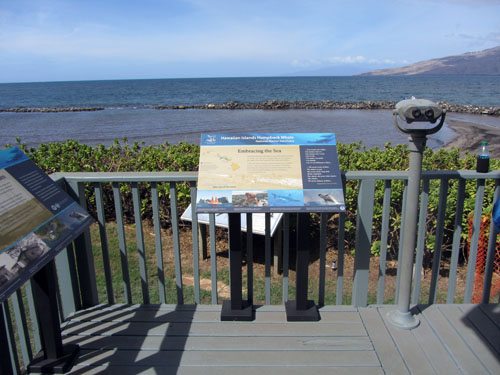 Ocean view with educational plackards