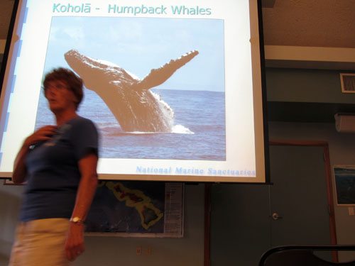 Talks and presentations about humpback whales