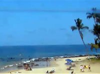 Sarentos Maui webcam