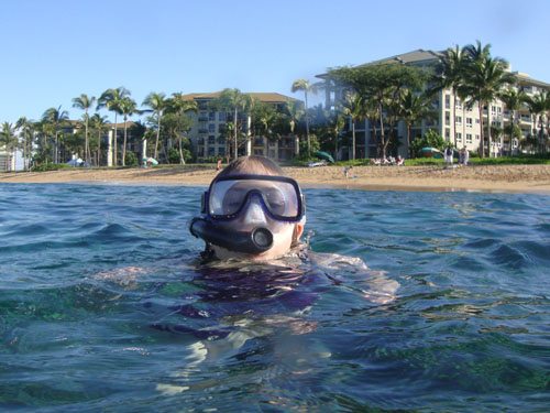 Maui Activities snorkeling