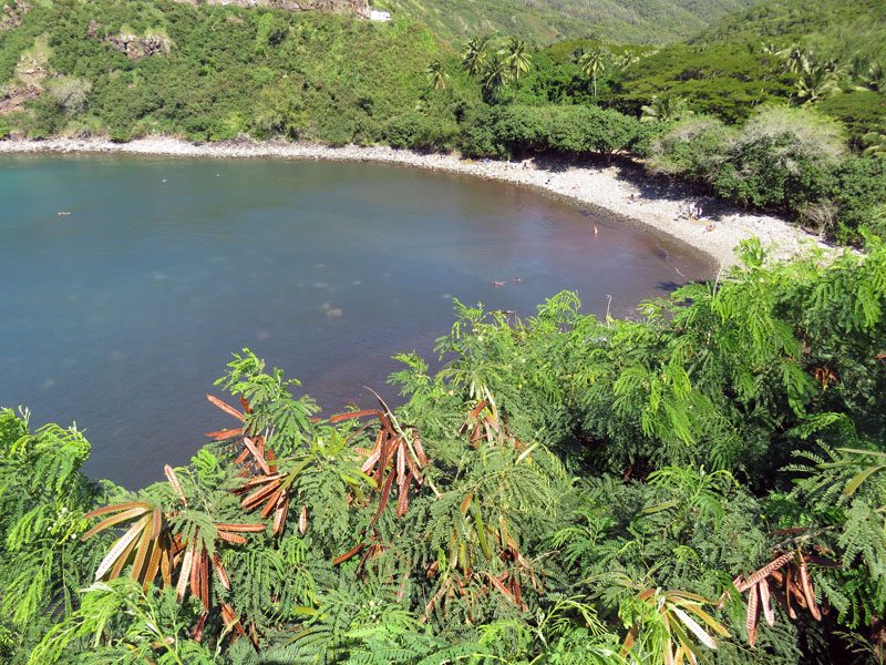 Honolua Bay view from above