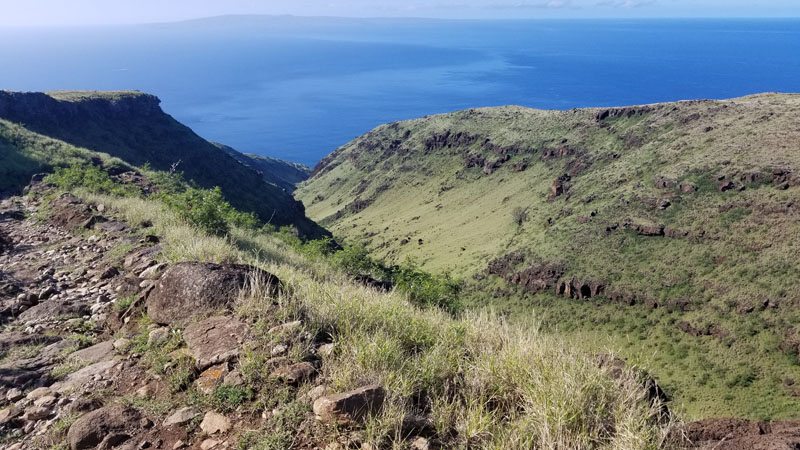 Lahaina Pali Trail gulch