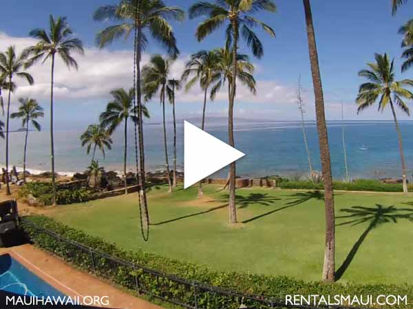 Cove Park Kihei Maui webcam