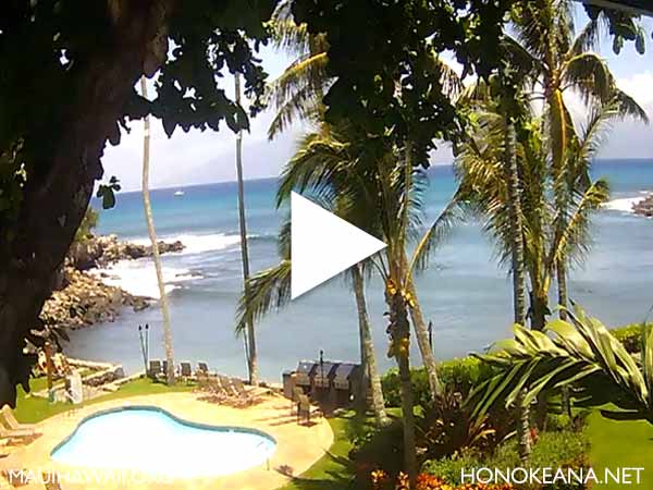 Honokeana Cove Maui Webcam