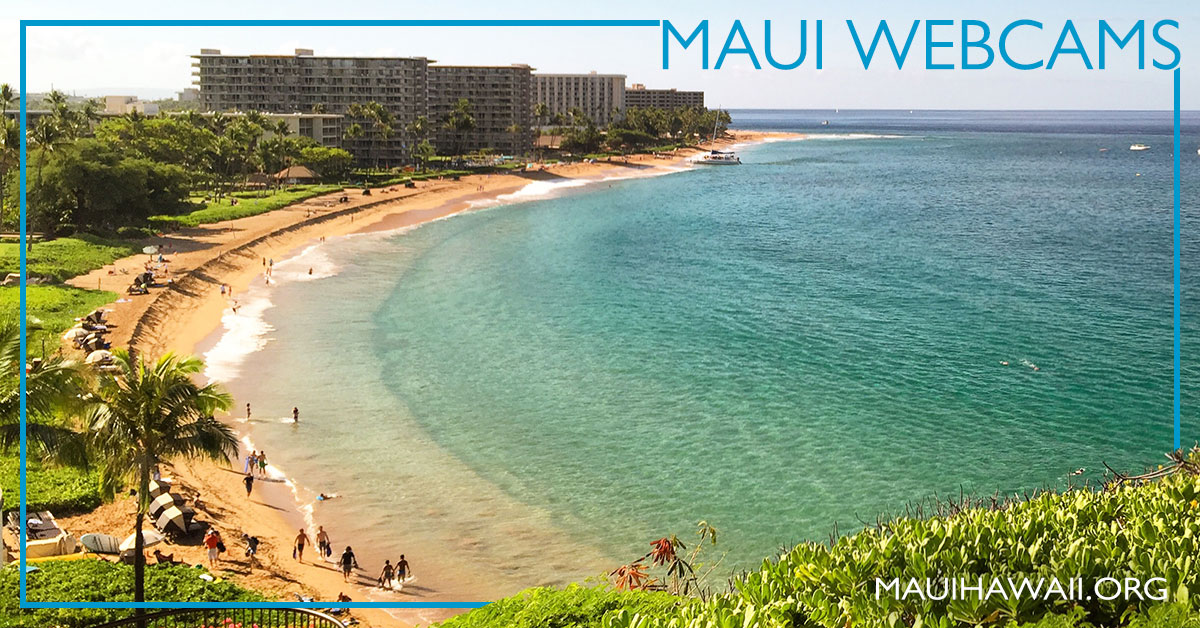 Maui Webcams See Maui LIVE right now (17 live web cameras)