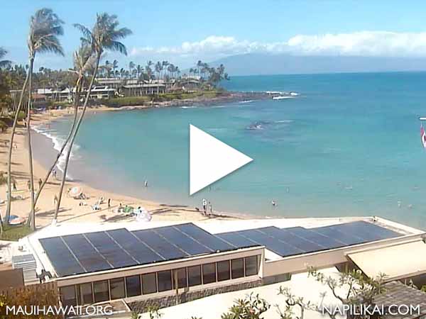 Napili Kai Resort Webcam