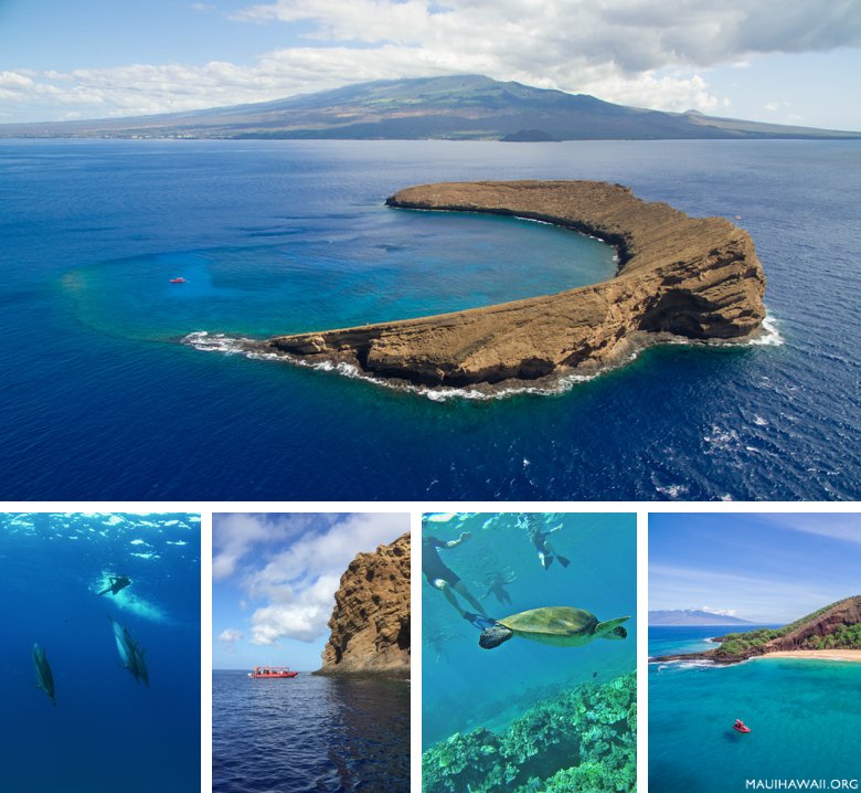 Molokini trips