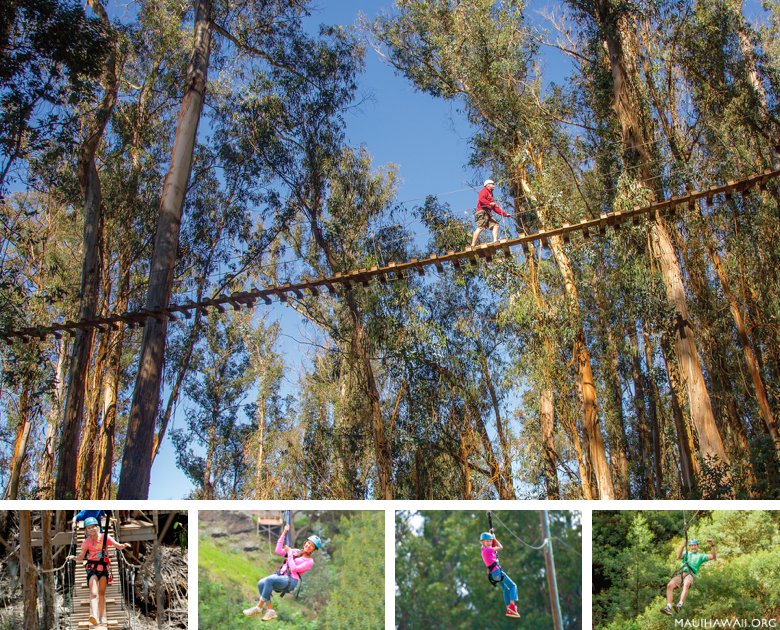 zipline Haleakala Maui