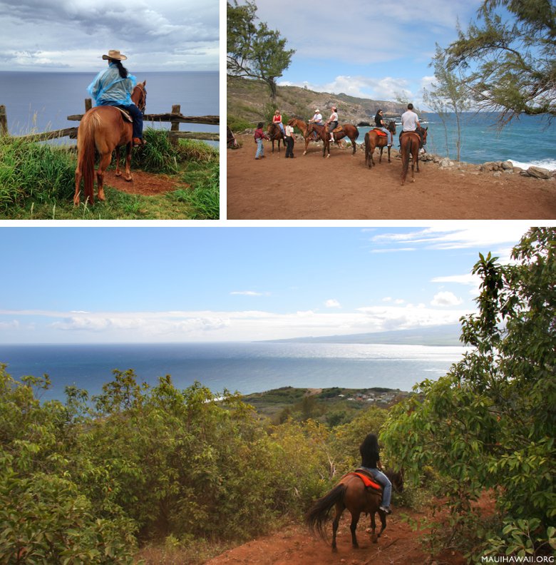 Maui horseback tours