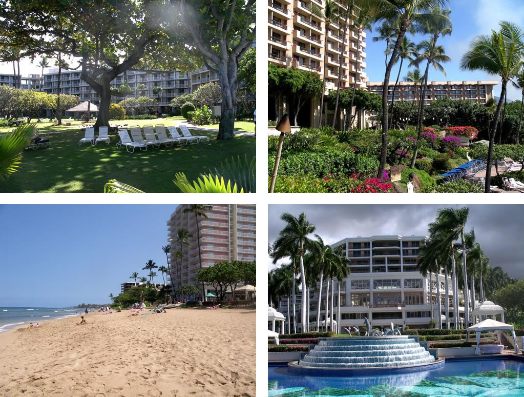 Maui hotels