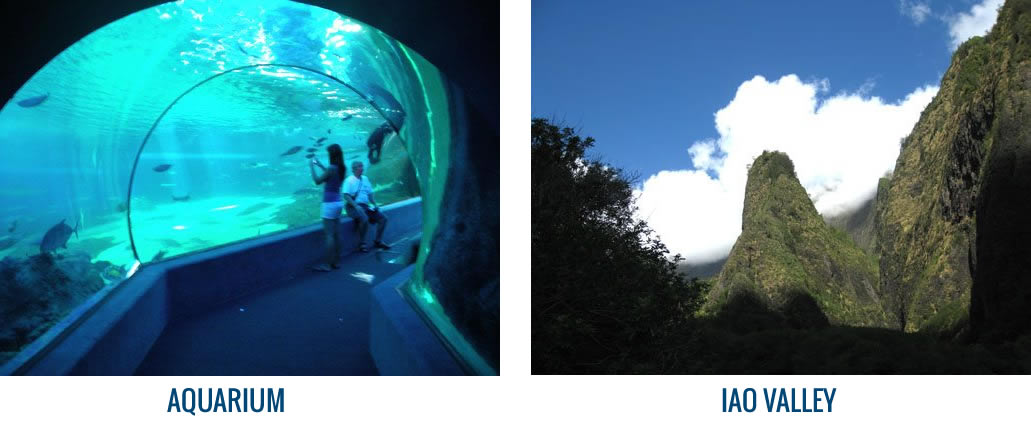 Aquarium and Iao Valley