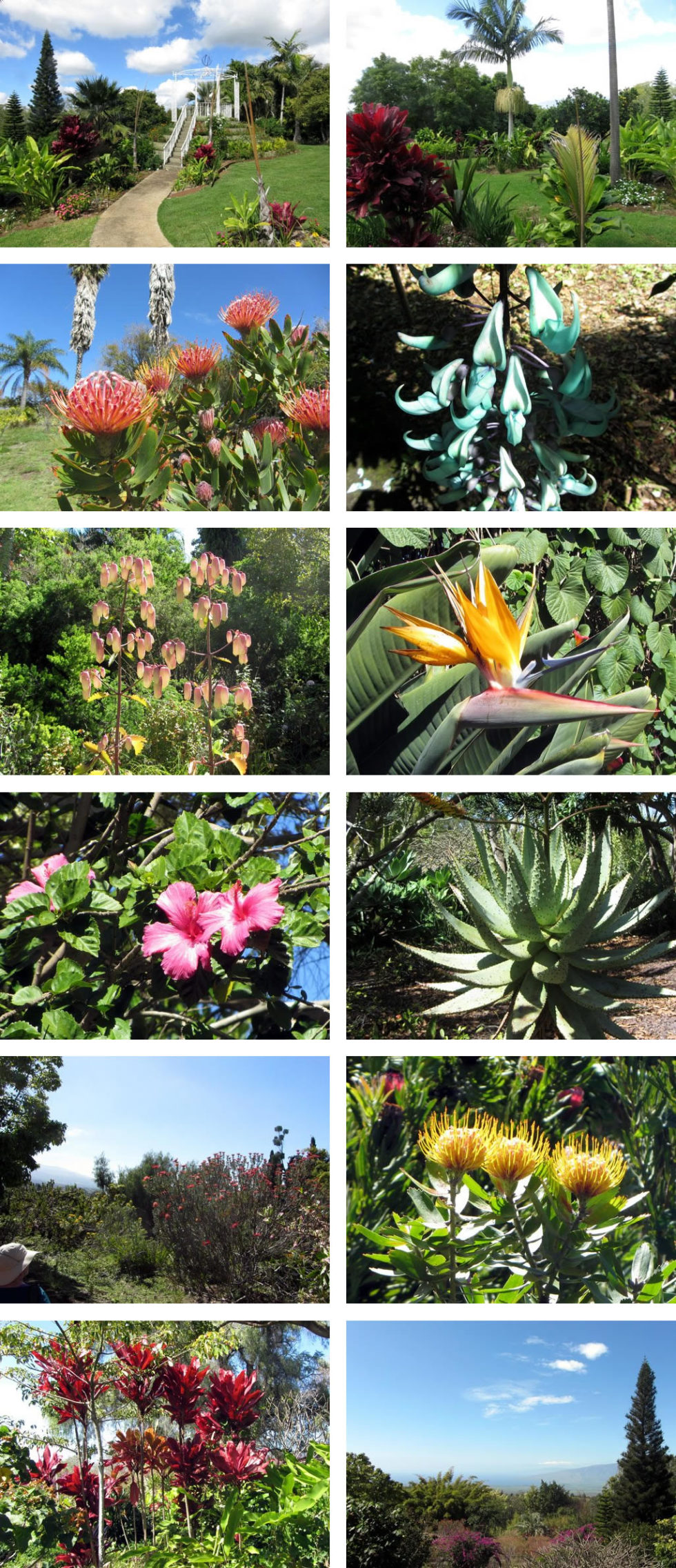 Enchanted Floral Gardens of Kula Botanical Garden on Maui