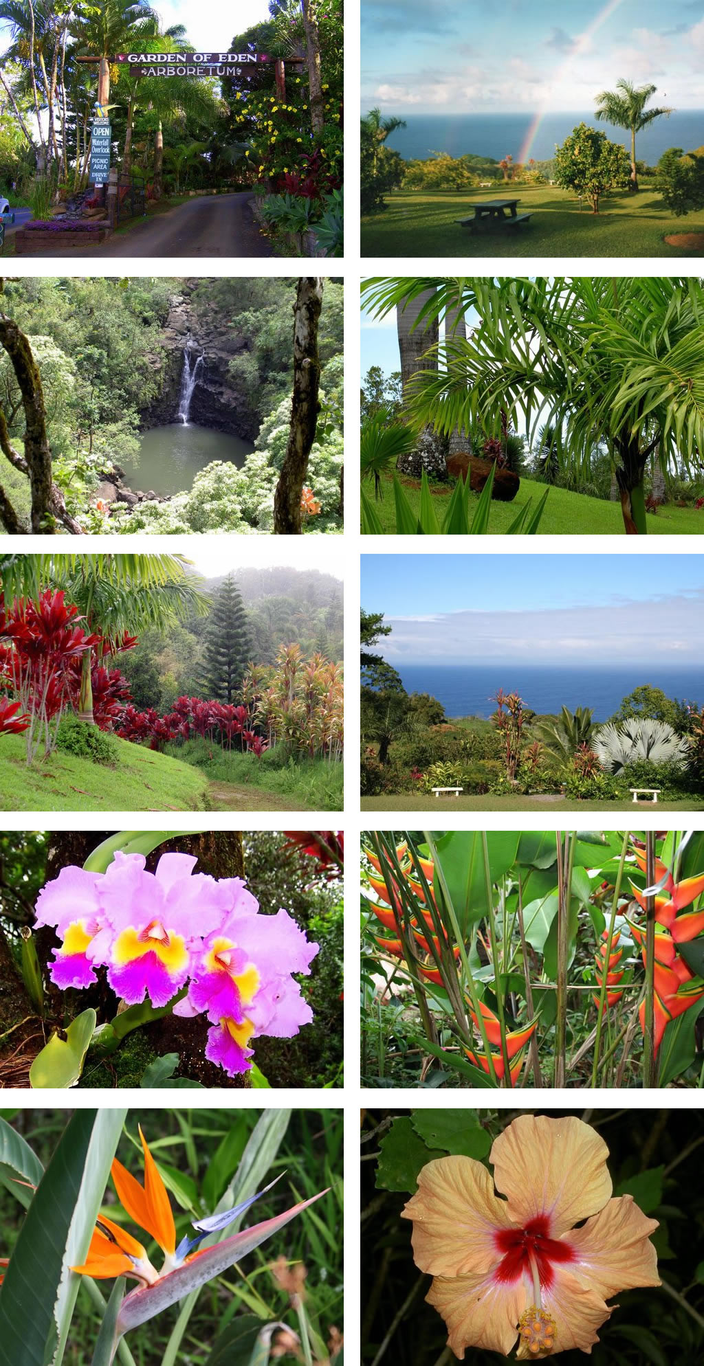 Garden of Eden Maui