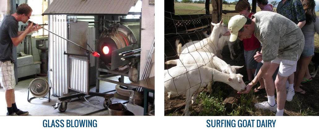 Glass blowing and Surfing Goat dairy