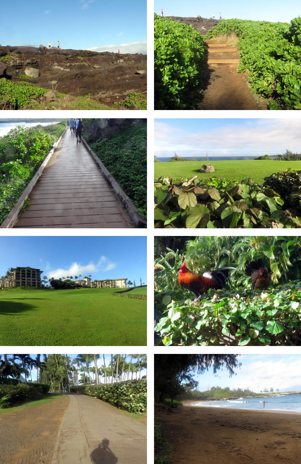 Kapalua Coastal Trail 3