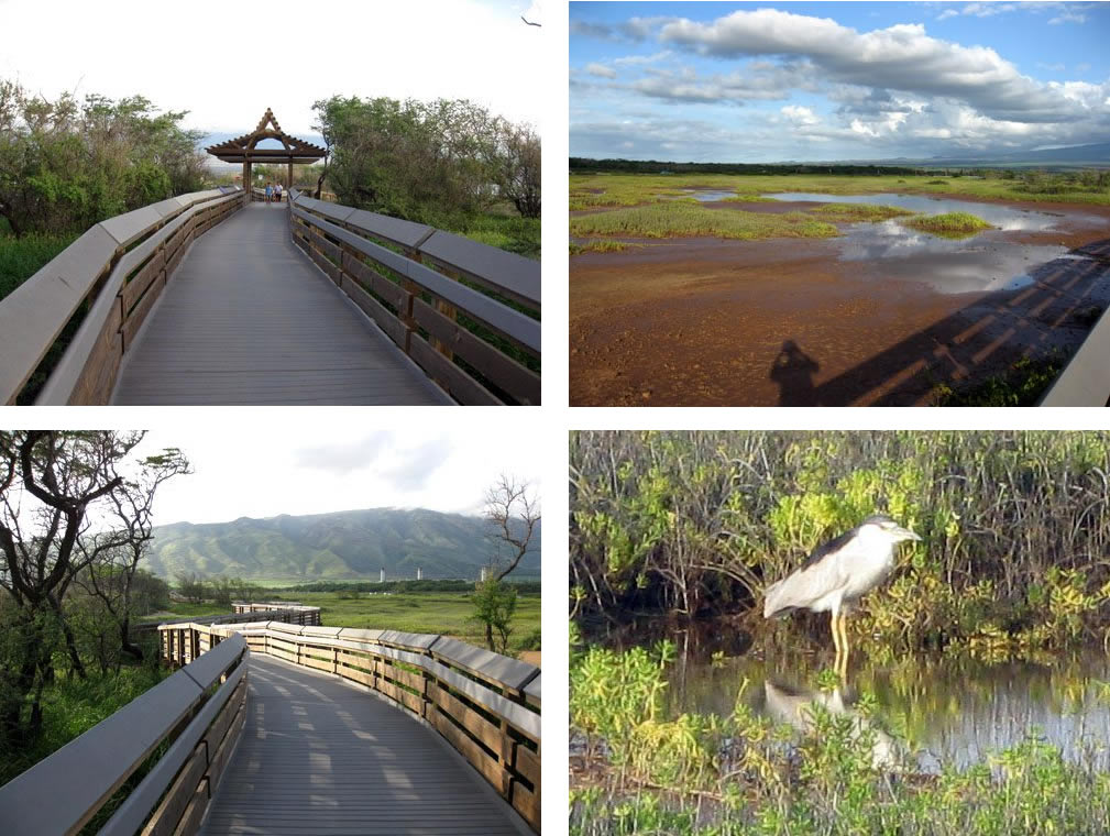 Kealia Coastal Boardwalk Maalaea