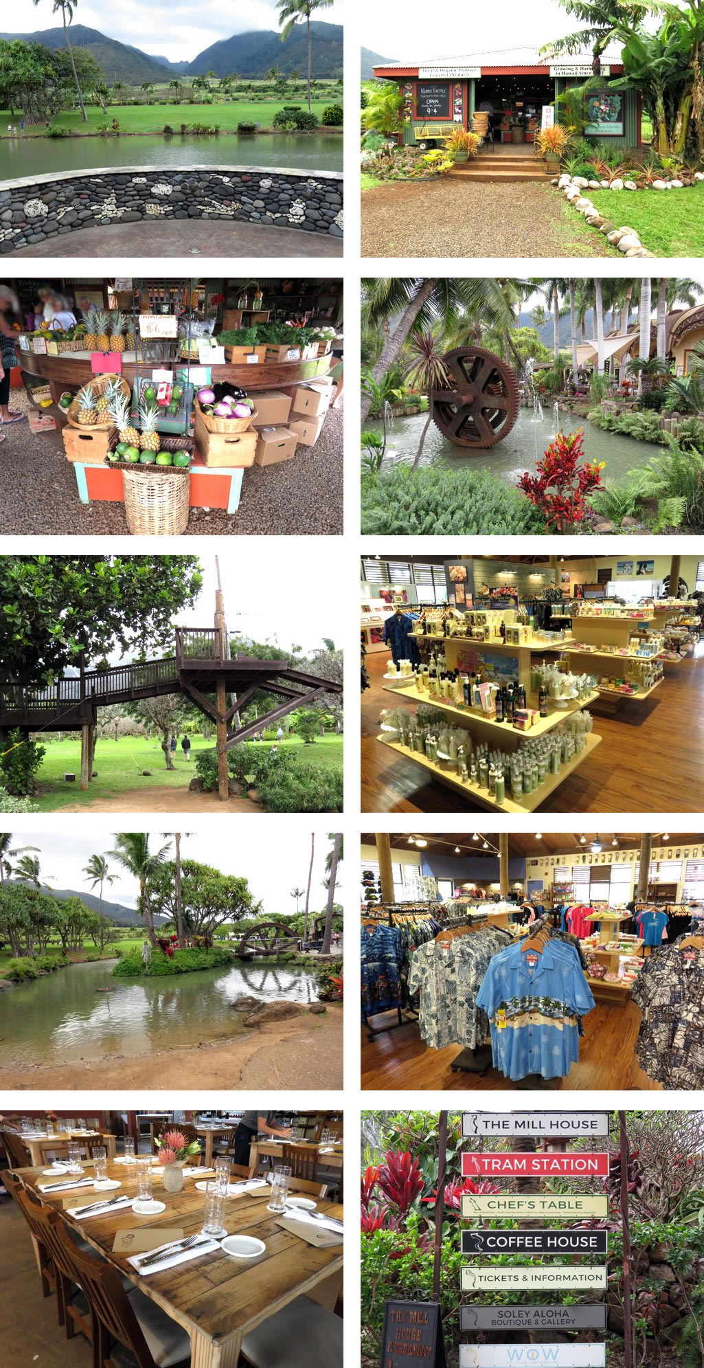 Maui Tropical Plantation