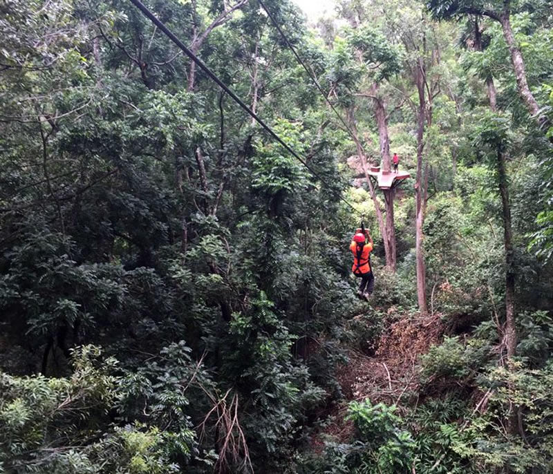 Maui zipline