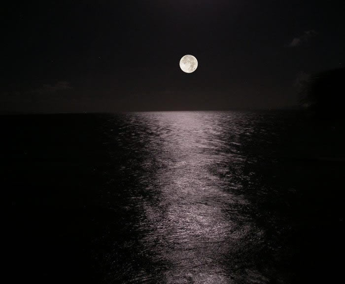 Moonset On Maui