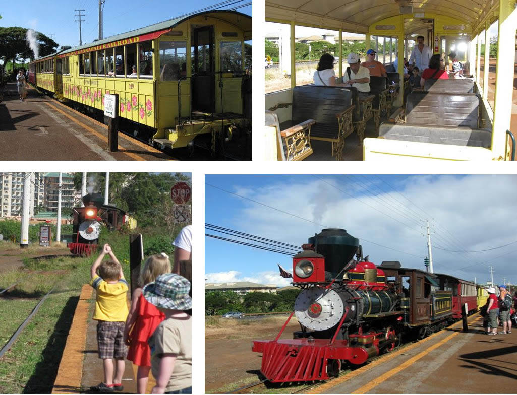 Sugar Cane Train