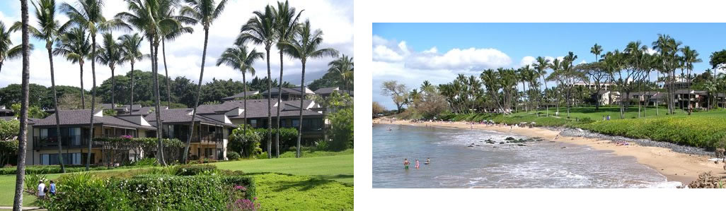 Wailea Elua Village