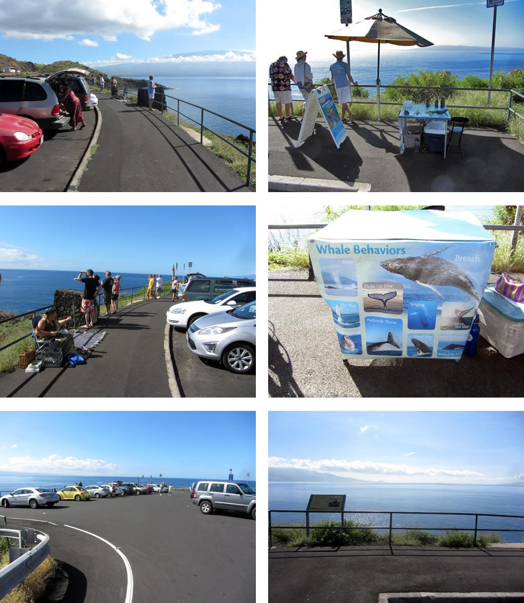 Whale Watching Lookout Point