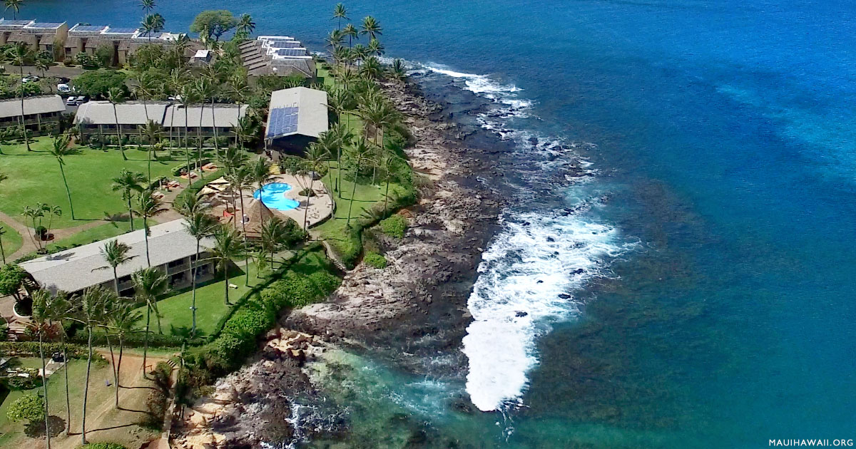 Gazebo Maui Menu Maui Restaurant Maui Hawaii