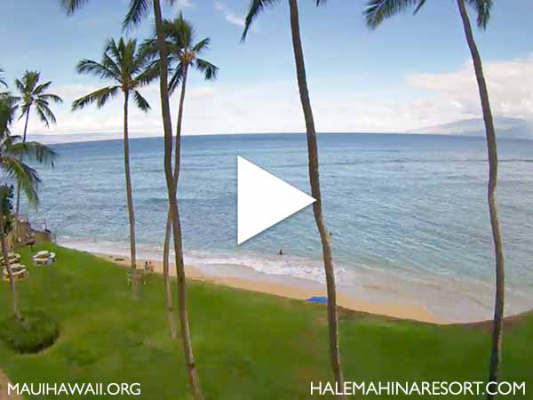 Hale Mahina Condo Webcam