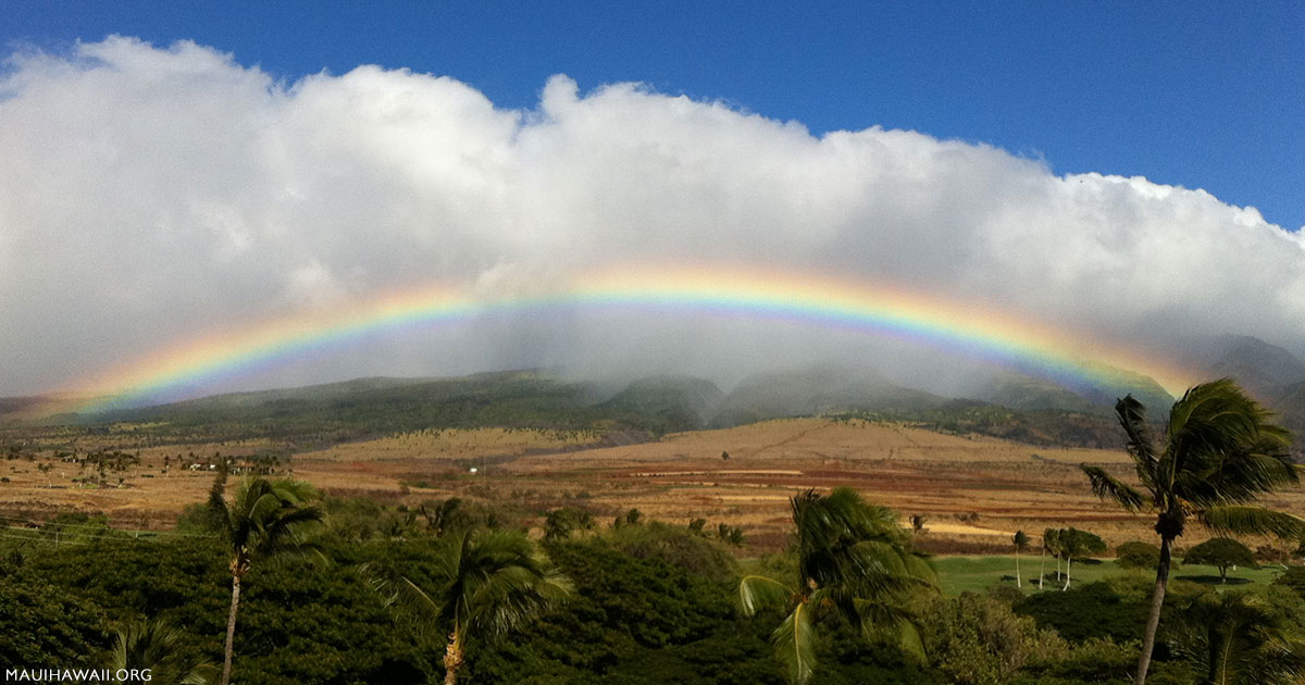 Hilton Maui and Hilton Grand Vacations HGV timeshares