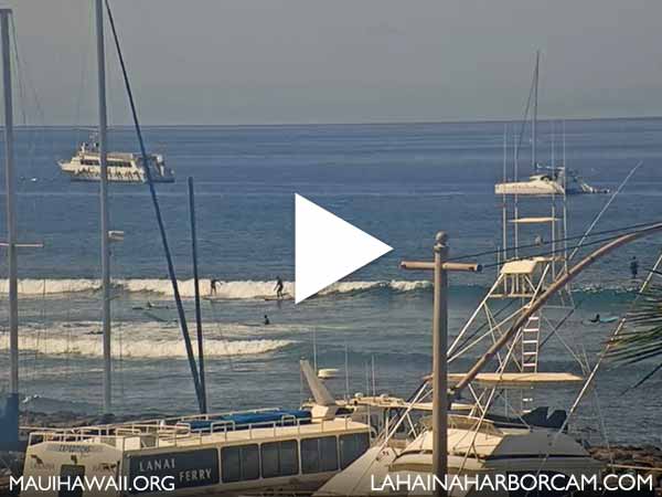 Lahaina Harbor webcam