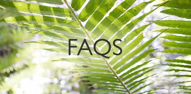 Maui Hawaii FAQs